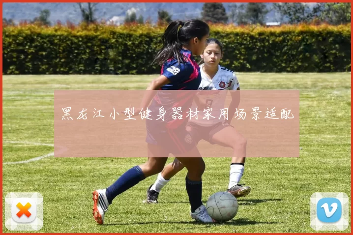 黑龙江小型健身器材家用场景适配