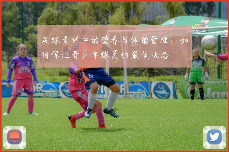 足球青训中的营养与体能管理，如何保证青少年球员的最佳状态