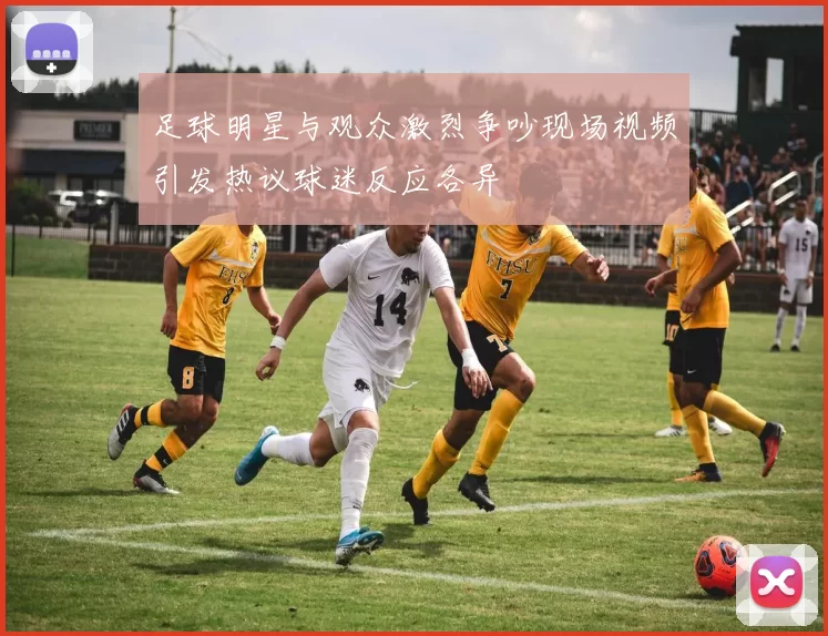 足球明星与观众激烈争吵现场视频引发热议球迷反应各异