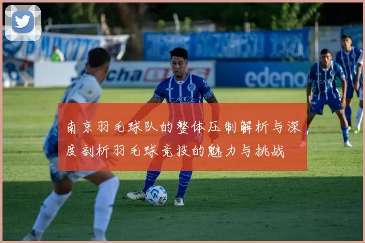 南京羽毛球队的整体压制解析与深度剖析羽毛球竞技的魅力与挑战