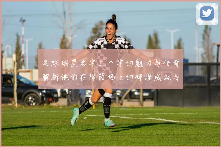 足球明星名字三个字的魅力与传奇解析他们在绿茵场上的辉煌成就与影响力
