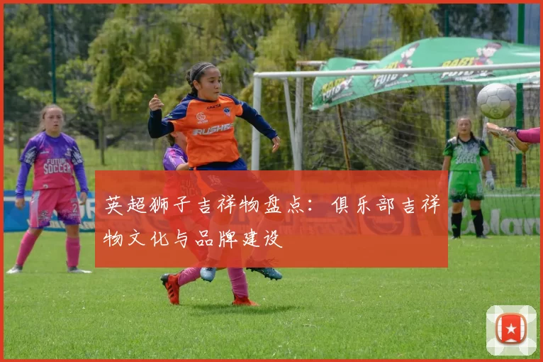 英超狮子吉祥物盘点：俱乐部吉祥物文化与品牌建设