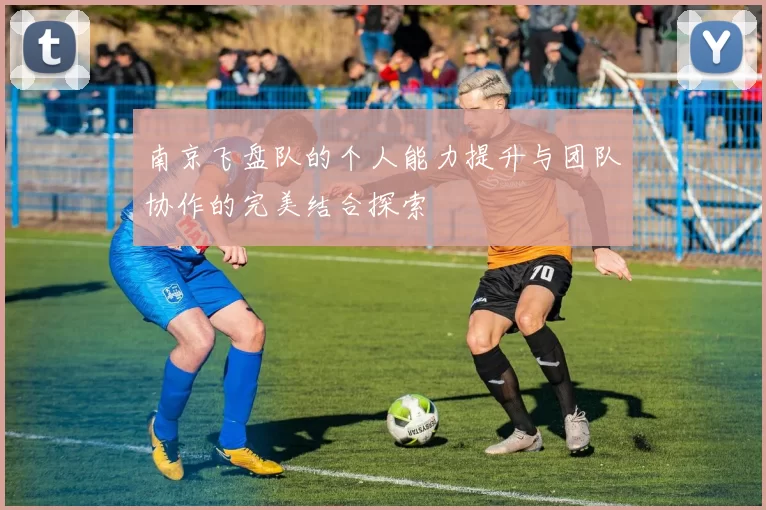 南京飞盘队的个人能力提升与团队协作的完美结合探索