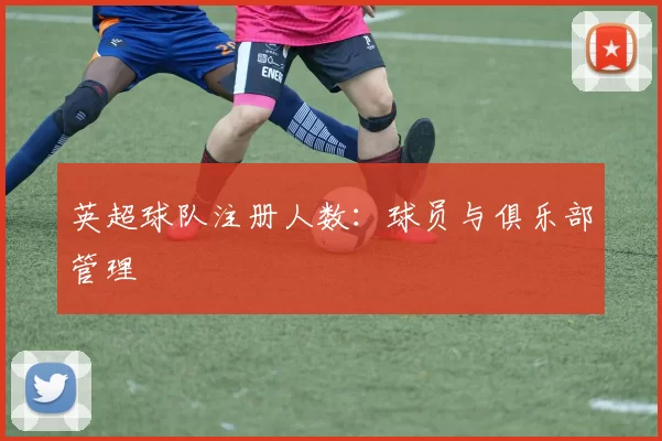 英超球队注册人数：球员与俱乐部管理