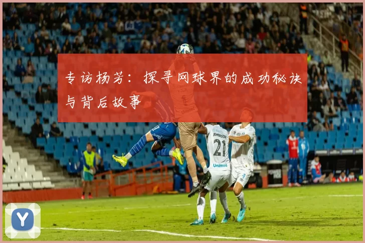 专访杨芳：探寻网球界的成功秘诀与背后故事