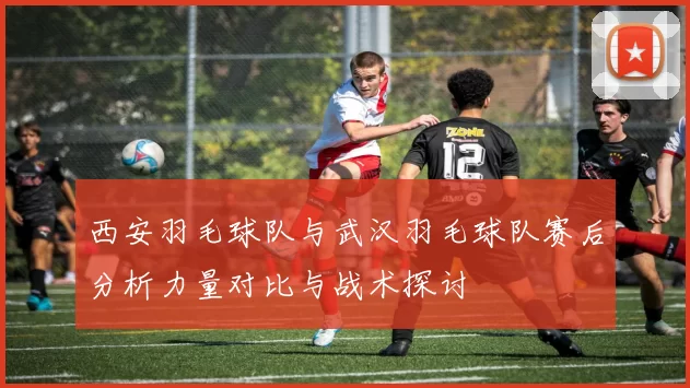 西安羽毛球队与武汉羽毛球队赛后分析力量对比与战术探讨