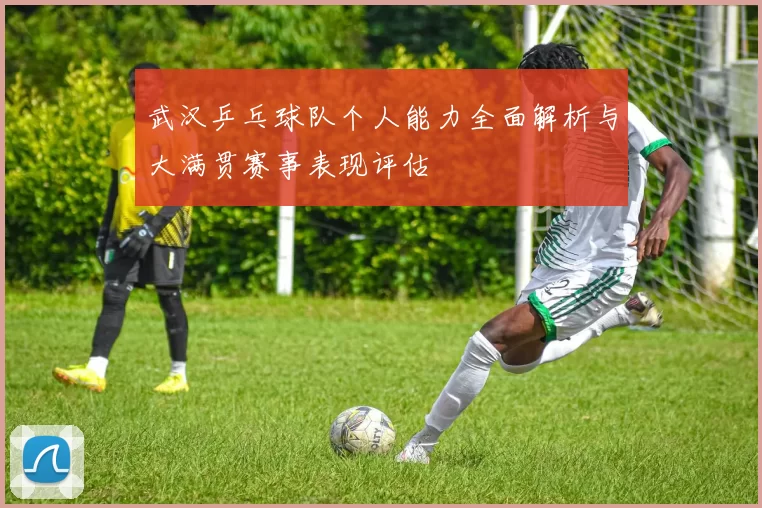 武汉乒乓球队个人能力全面解析与大满贯赛事表现评估