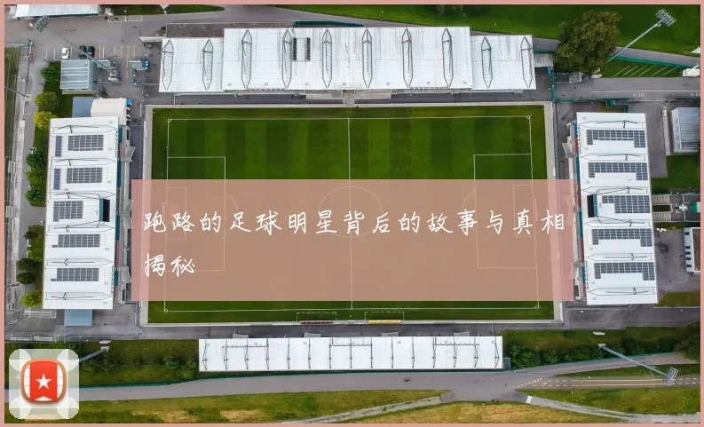 跑路的足球明星背后的故事与真相揭秘