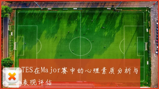 TES在Major赛中的心理素质分析与表现评估