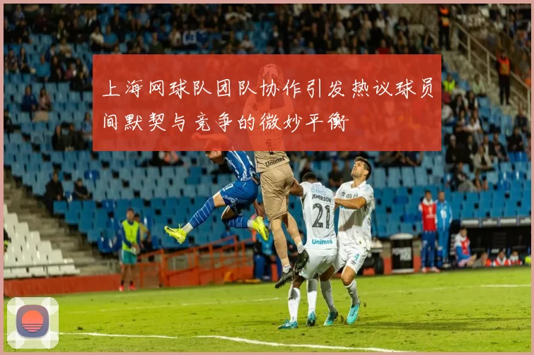 上海网球队团队协作引发热议球员间默契与竞争的微妙平衡