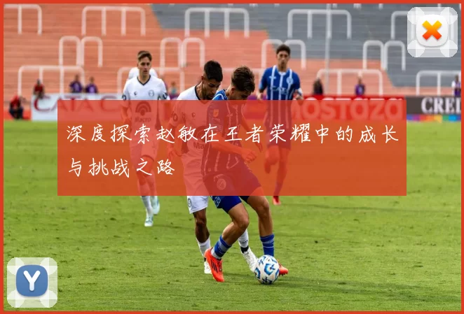 深度探索赵敏在王者荣耀中的成长与挑战之路