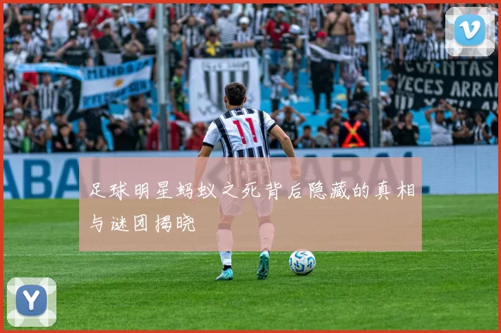 足球明星蚂蚁之死背后隐藏的真相与谜团揭晓