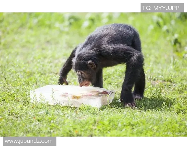 全球气候变化加剧各地灾害频发 专家呼吁加强国际合作应对气候挑战 全球气候变化加剧各地灾害频发 专家呼吁加强国际合作应对气候挑战