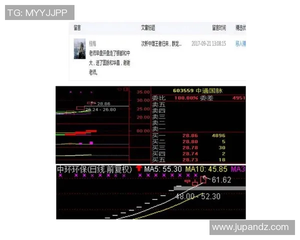 和平精英战术解析JDG中路突破体系的关键策略与实战应用